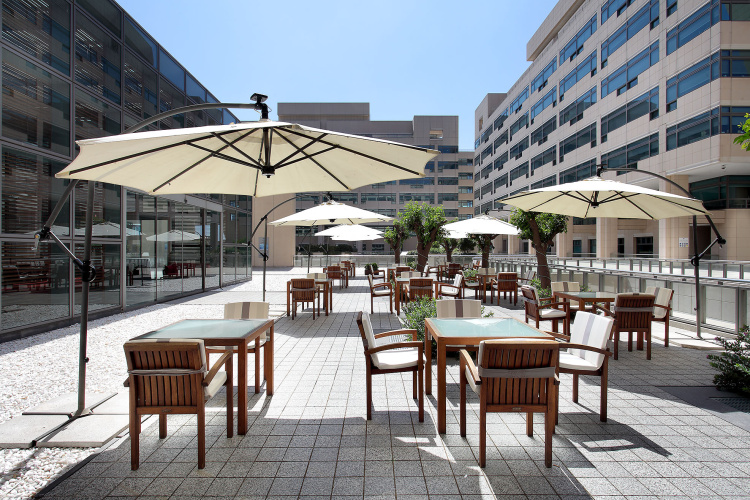 Eurostars Grand Marina Hotel photo 22