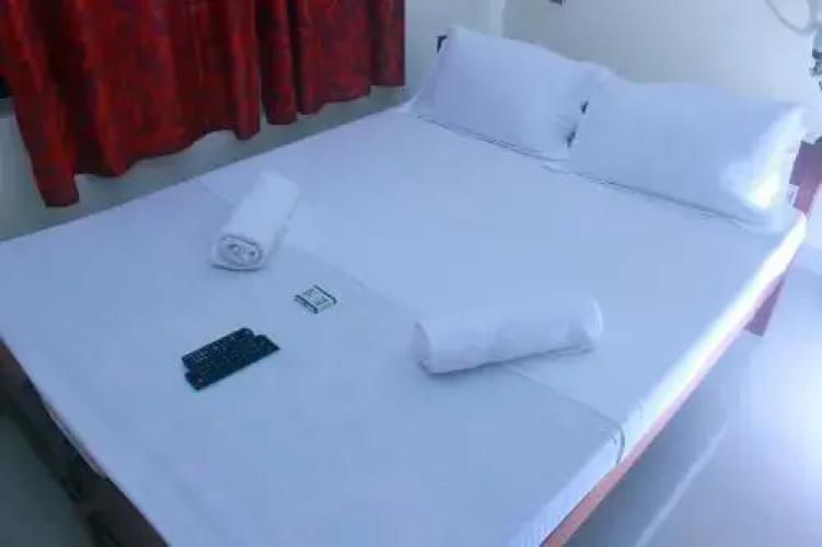 Lake Castle Alleppey villa