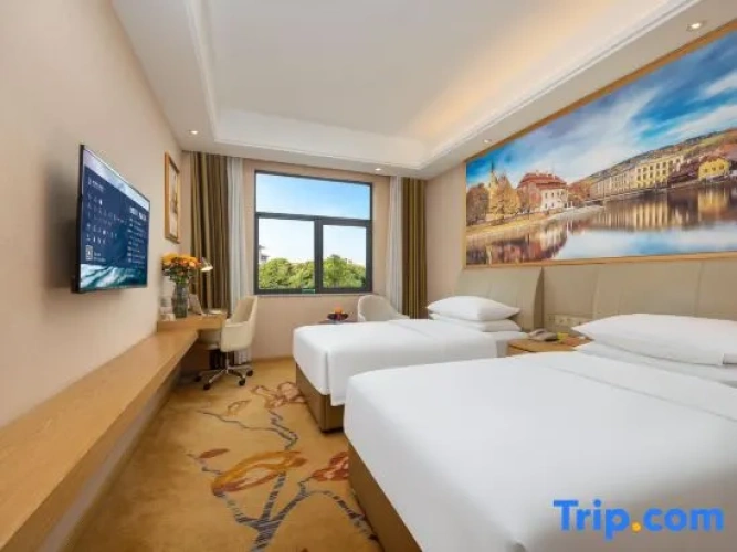 Standard Twin room with city view