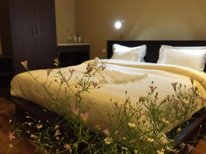 Standard Double room with garden view