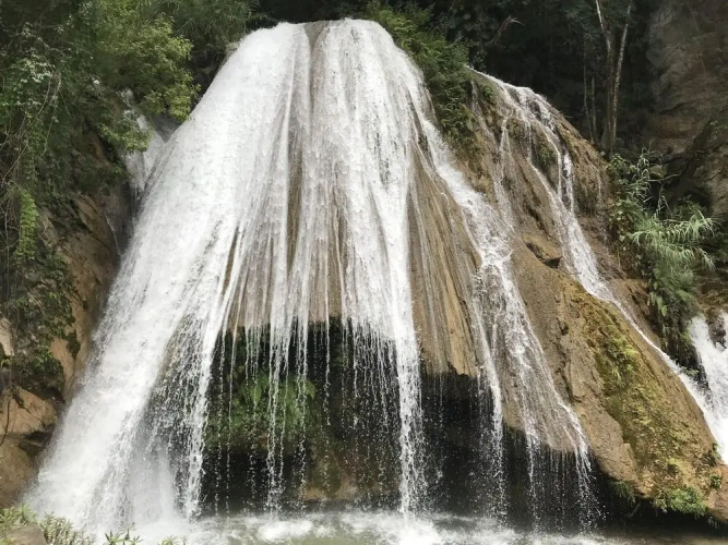 Alma Mía