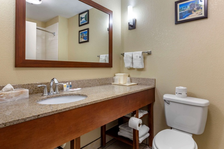 Quadruple Suite