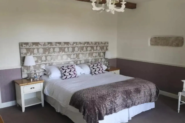 OYO New Inn Hotel