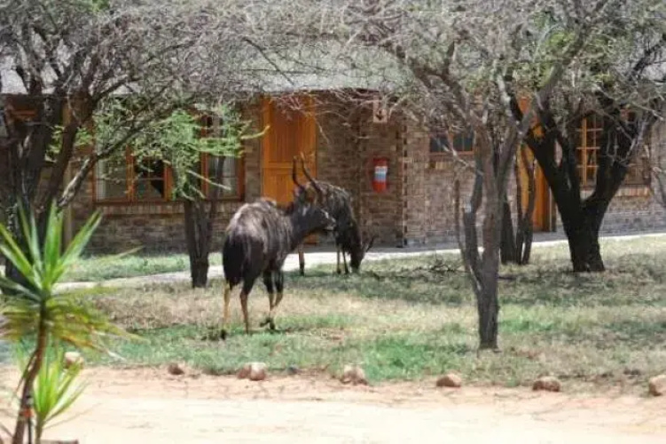 Leopardsong Game Lodge