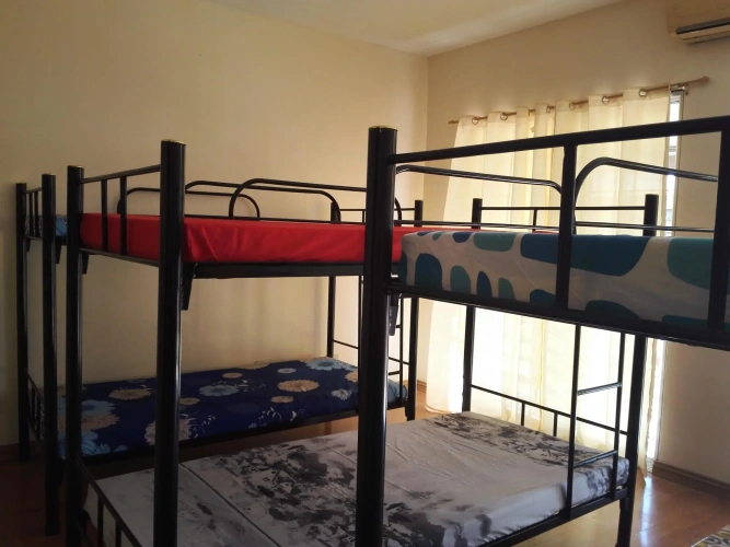 Bed in Dorm