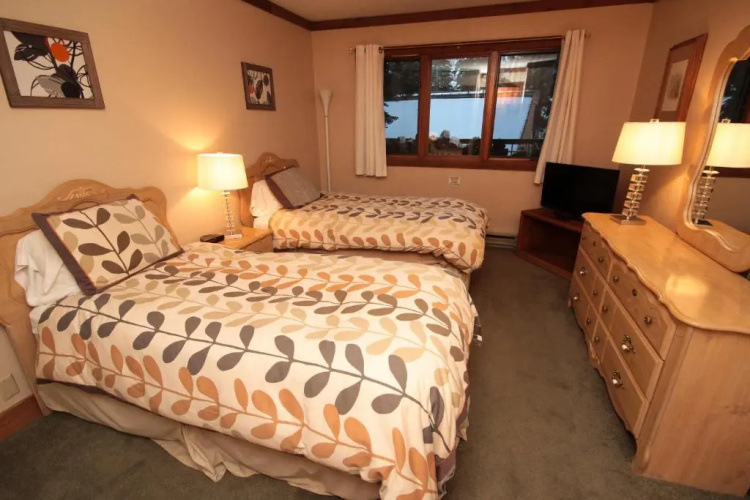 Mountainback #59 dog friendly