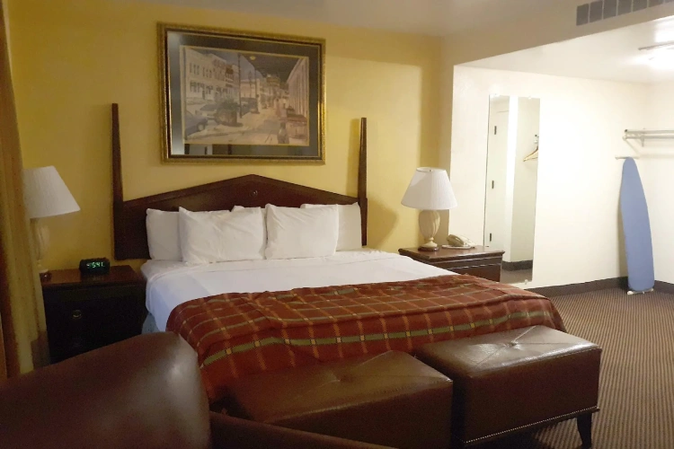 1 Bedroom Suite