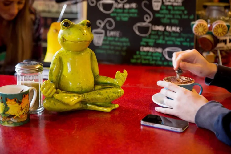 The Pickled Frog - Hostel