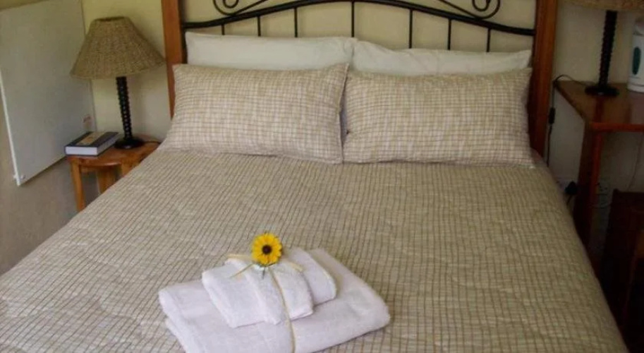 Sunflowers Guesthouse