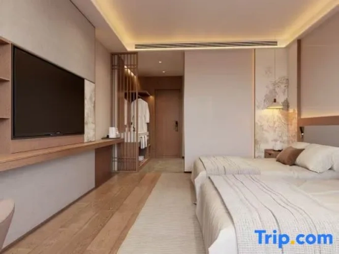 Standard Triple Family room