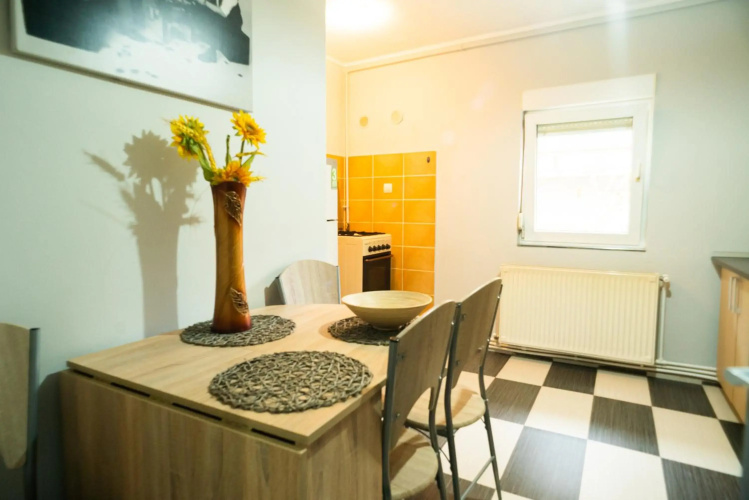Apartament Dacul