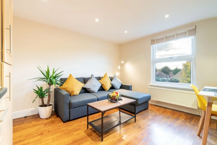 Deluxe Apartment