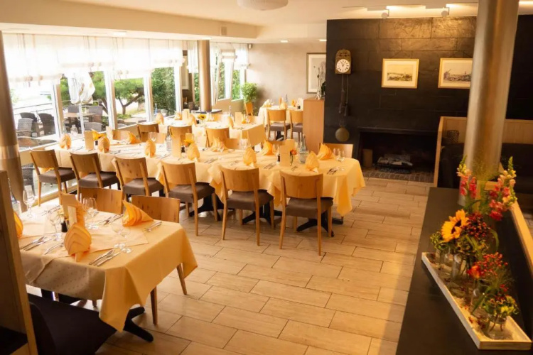 Hotel Villa Am Rhein