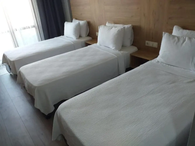 Standard Triple room with garden view