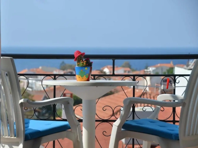 Standard Double room with balcony and with sea view