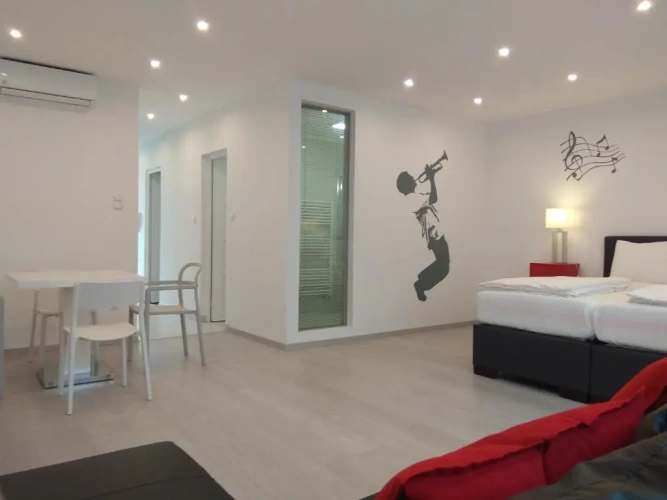 1 Bedroom Apartment