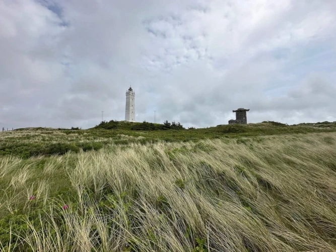 4 Person Holiday Home in Blavand