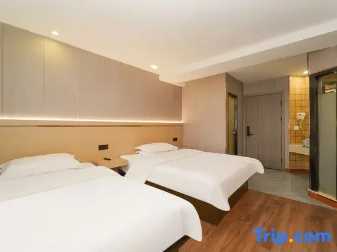 Standard Double Family room