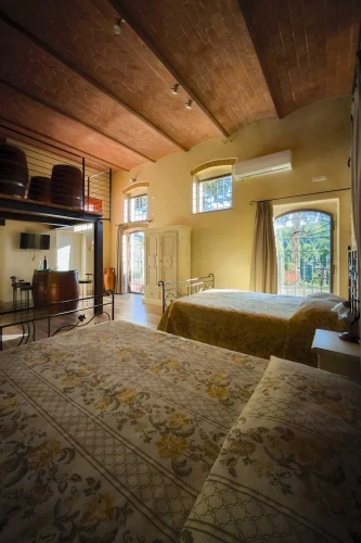 Luxury Suite