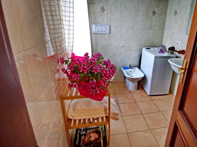 1 Bedroom Standard Apartment