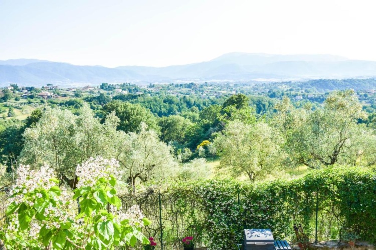 Deluxe room with balcony and with view