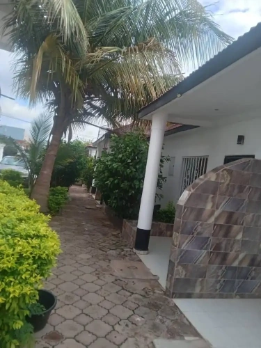 Deluxe Bungalow with garden view