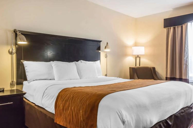 Comfort Inn & Suites LaGuardia Airport photo 7