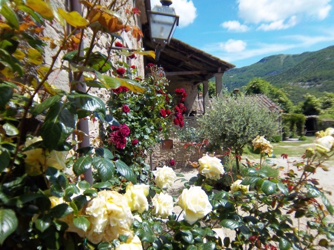 Cottage
