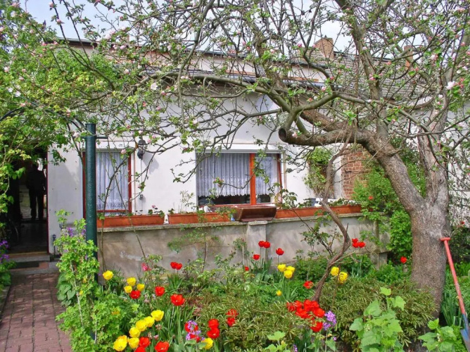 Ferienhaus Malchow SEE 4671
