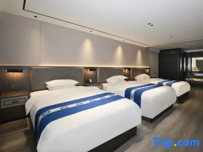 Standard Double Family room