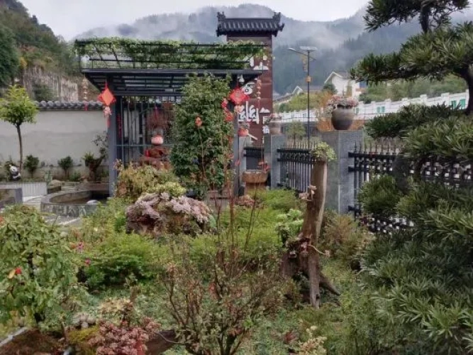 Outside