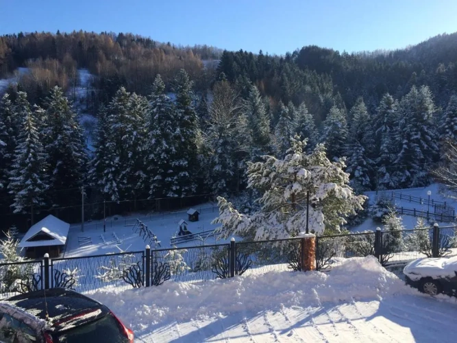 Standard Double room with mountain view