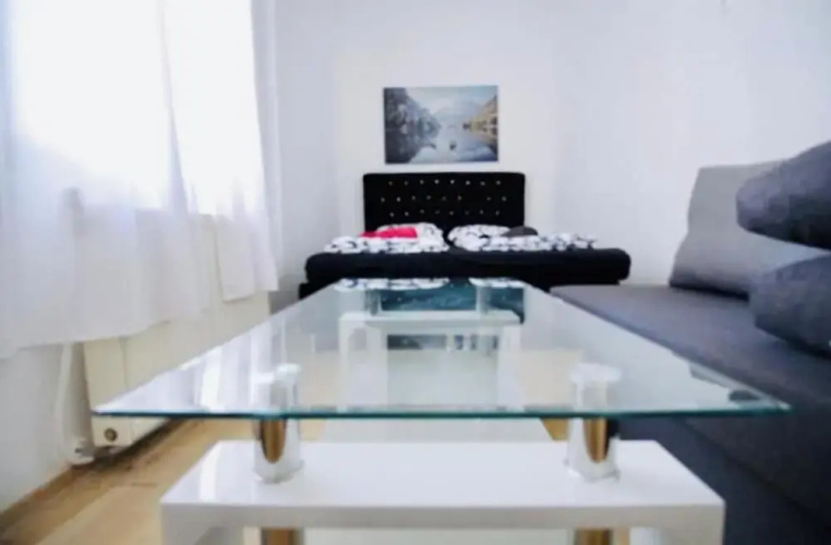 Charming 3BR Apt Close to Augarten Park