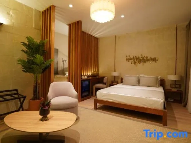Executive Double room with courtyard view