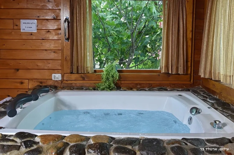 Standard Double room with lake view
