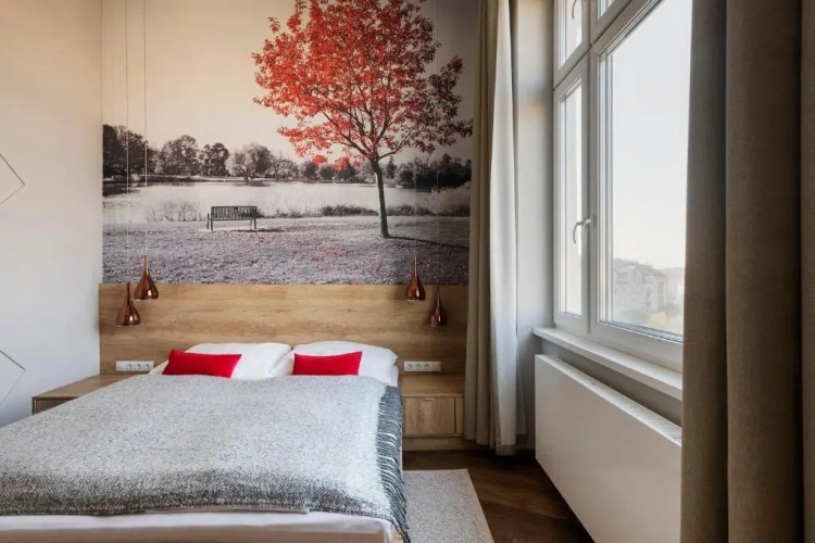 Superior Apartment