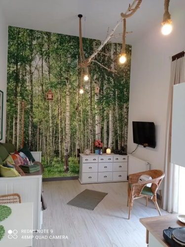 Studio Lesne