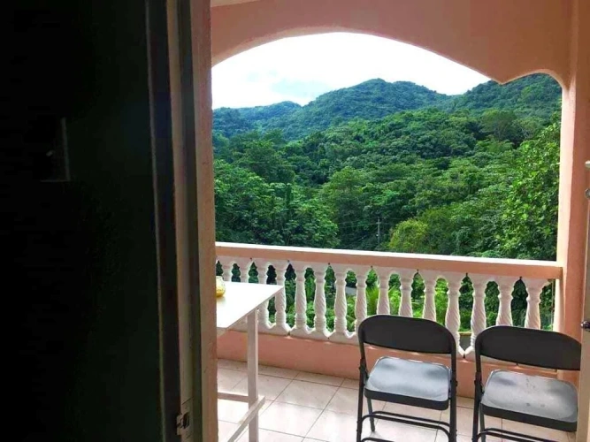 Standard Double room with garden view