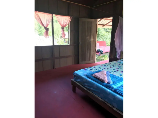 Rasta House