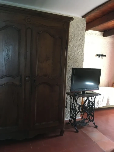 Deluxe Double room with garden view
