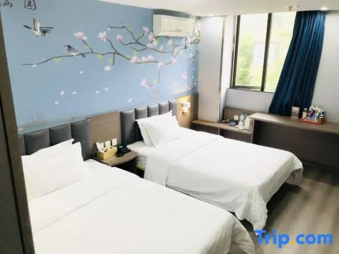 Standard Double room with street view