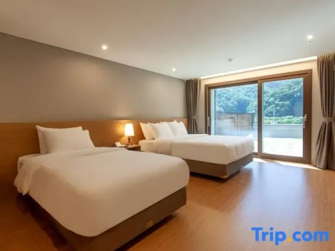 Premier Single room