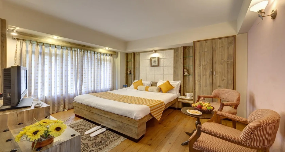 Executive Double room with balcony and with view