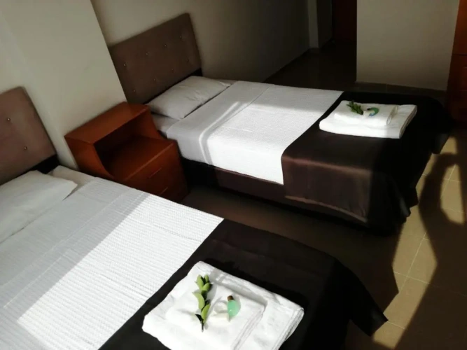 Standard Twin room with pool view