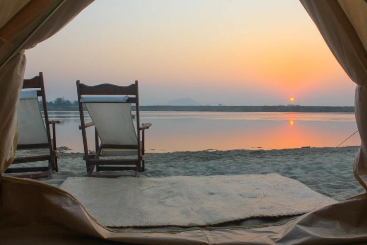 Living Irrawaddy Dolphin Project