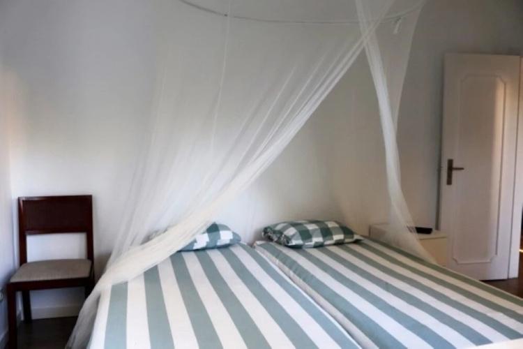Akivillas Tavira Pine