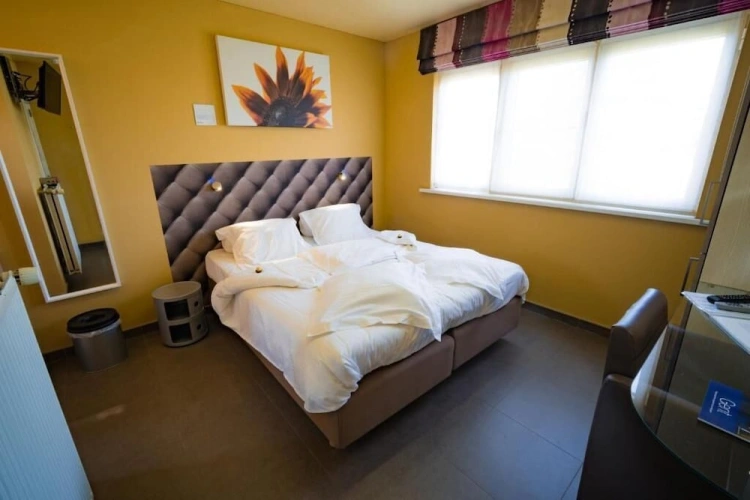 Standard Double room with garden view