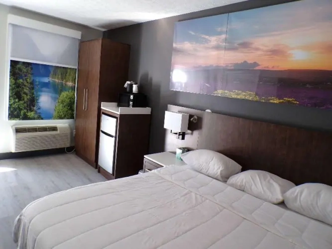 1 Bedroom Double Suite
