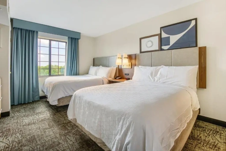 1 Bedroom Suite