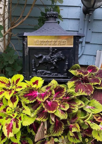 Rose Heart Inn